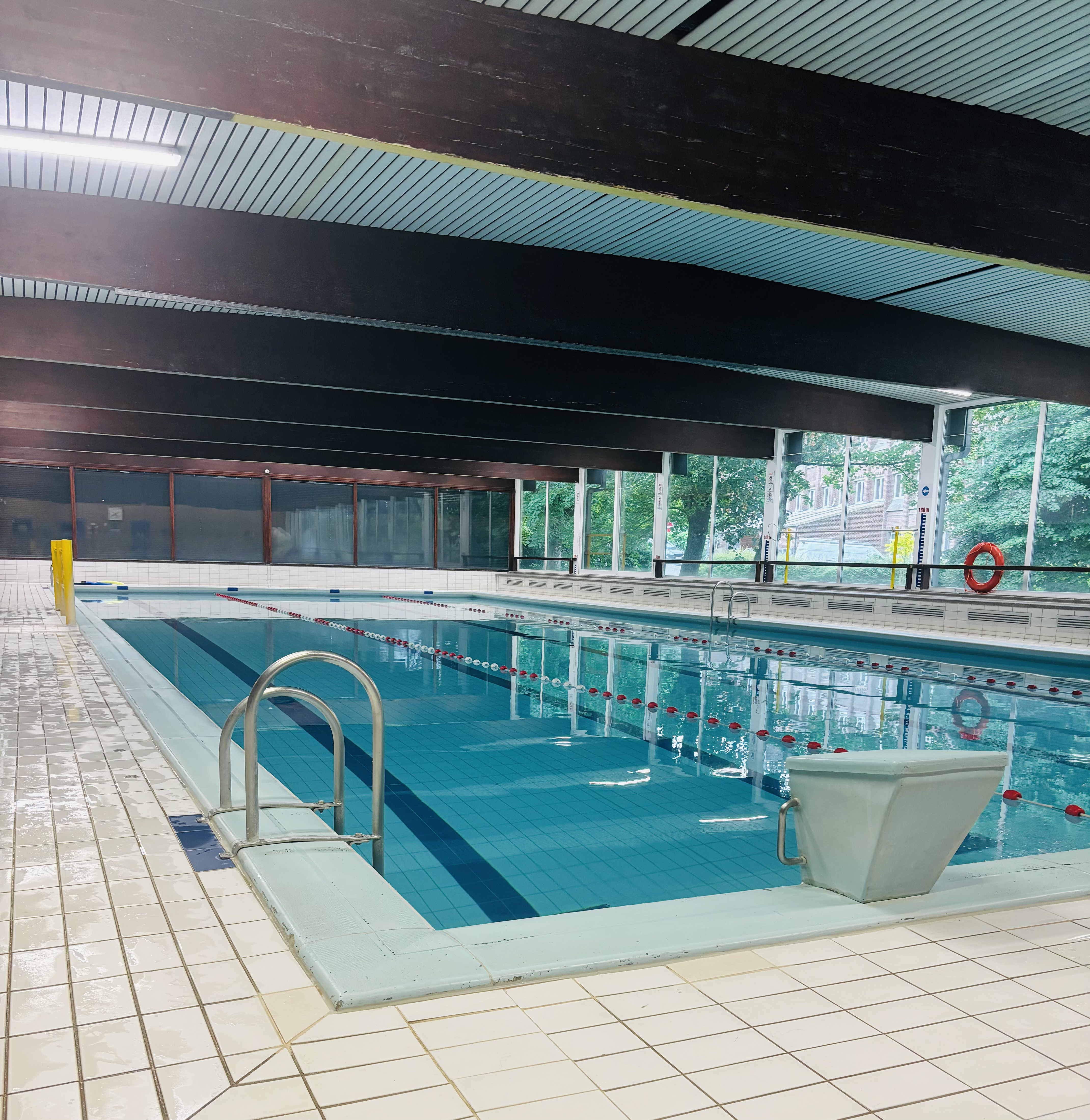 A photo of swim coach back